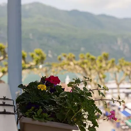 L'iroko The Originals 艾克斯莱班